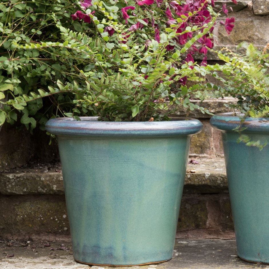 Fern & glazed pot combination