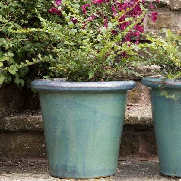 Fern & glazed pot combination