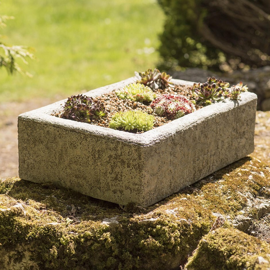 Sempervivum collection and alpine trough