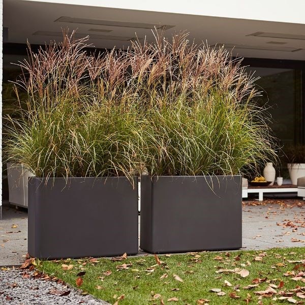 Chinese silver grass & pot cover combination