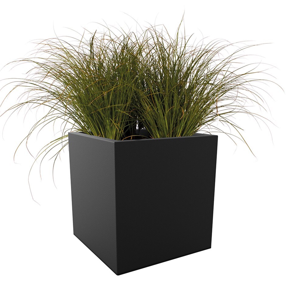 Carex testacea & pot cover combination