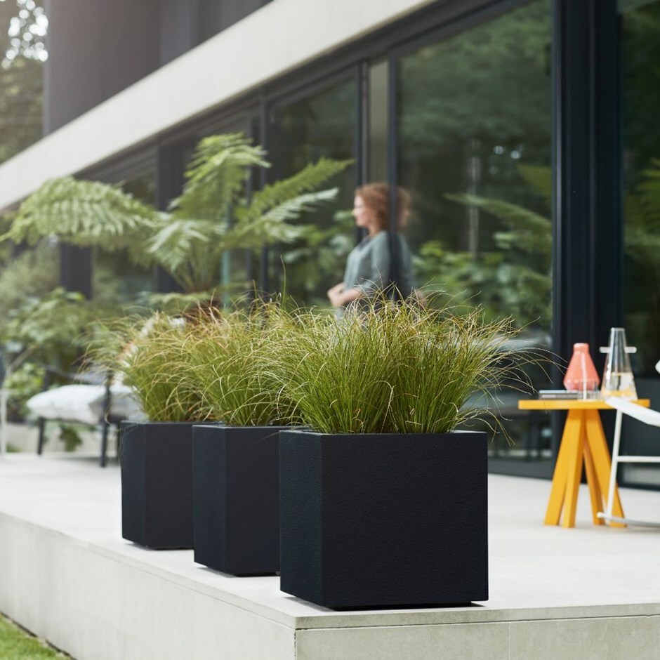 Carex testacea & pot cover combination