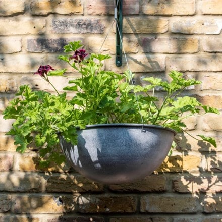 Hanging bowl - aged zinc & regal pelargoniums