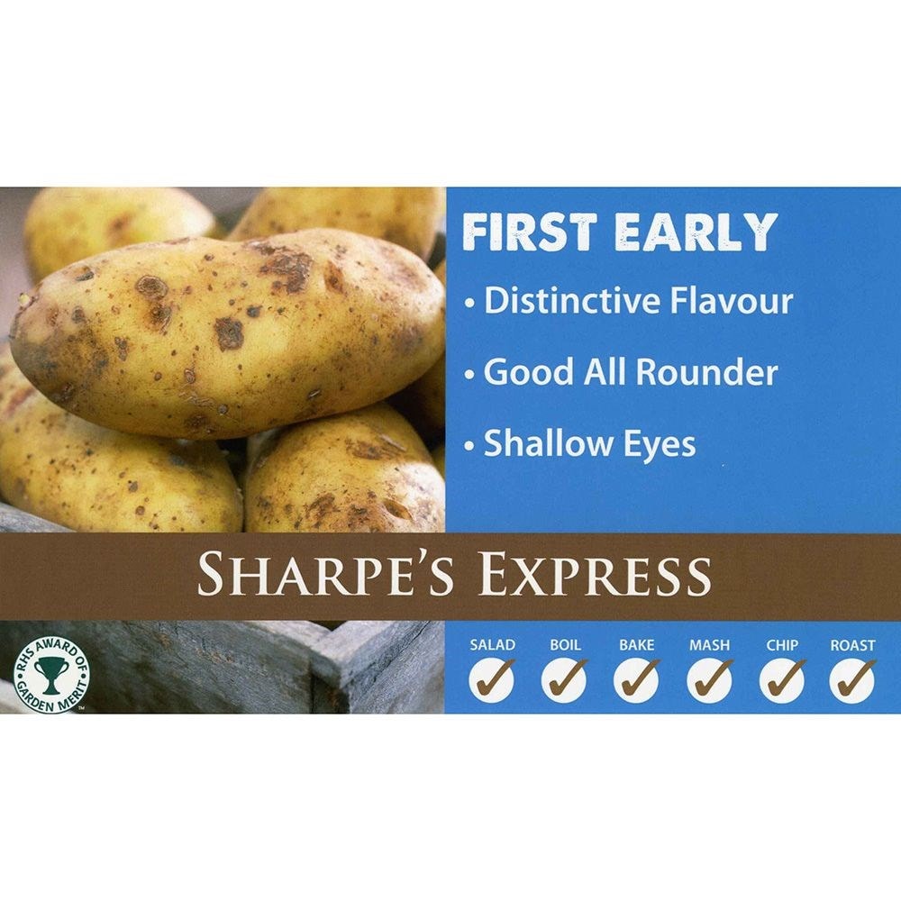 potato 'Sharpe's Express'