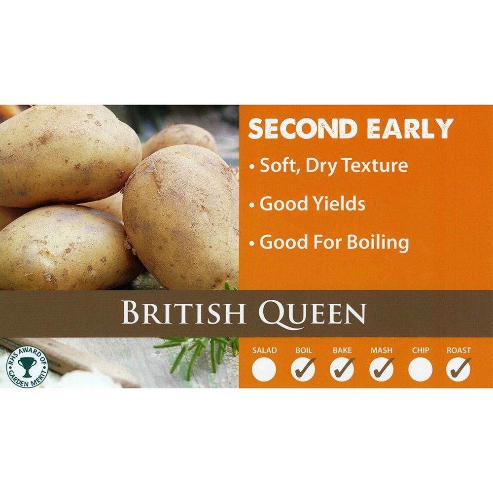 potato 'British Queen'