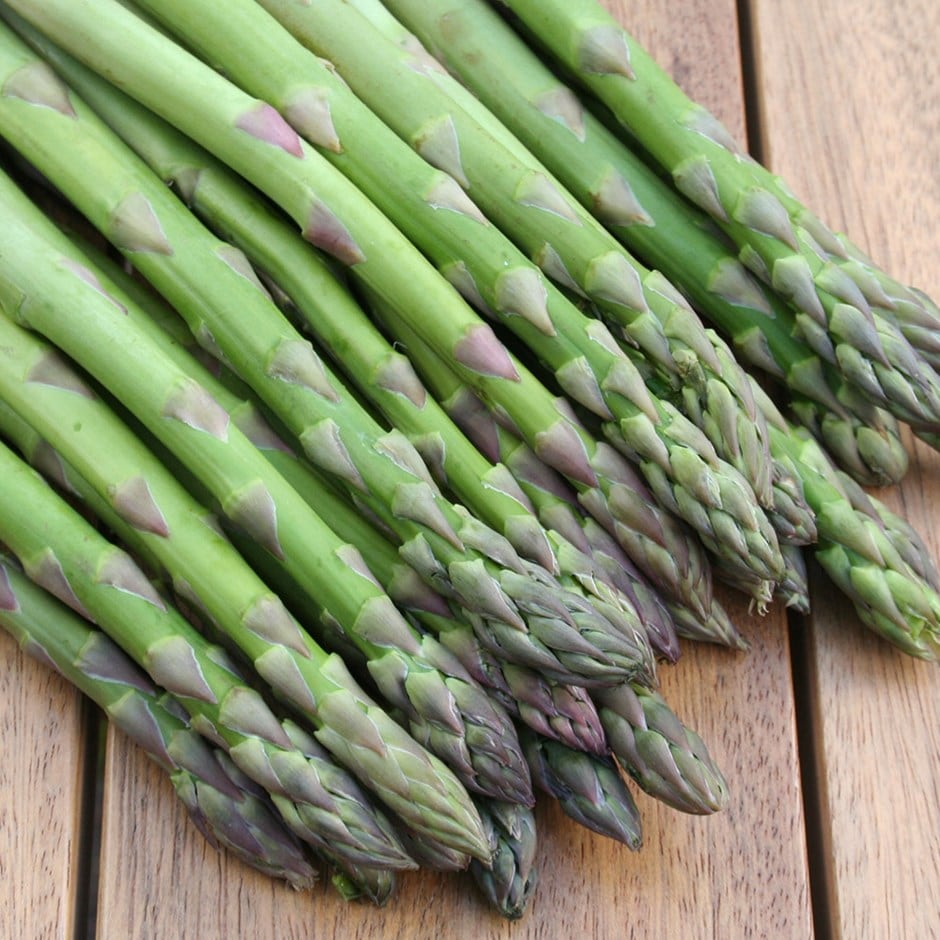 asparagus 'Gijnlim'