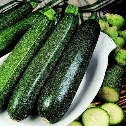courgette 'Defender' F1