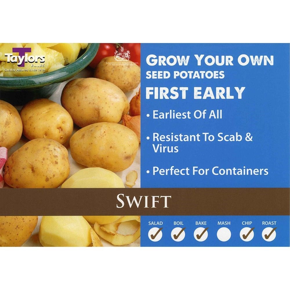 potato 'Swift' (PBR)