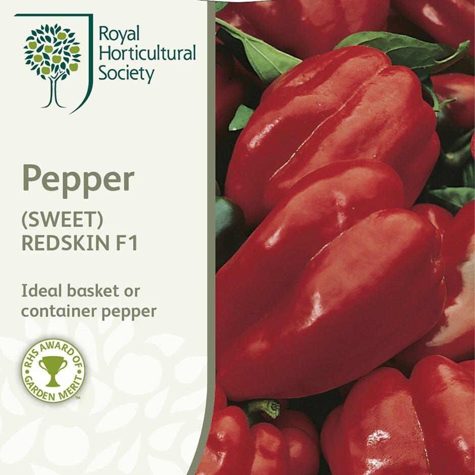 Buy sweet pepper / Capsicum annuum var. annuum (Grossum Group) 'Redskin