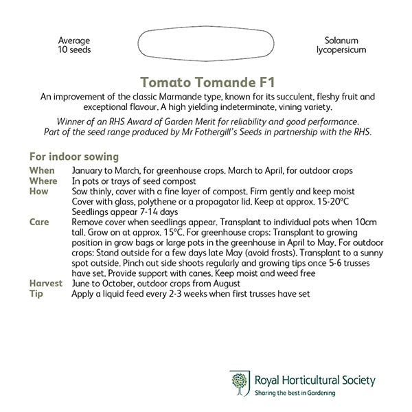 Buy tomato / Solanum lycopersicum 'Tomande' F1 tomato ...