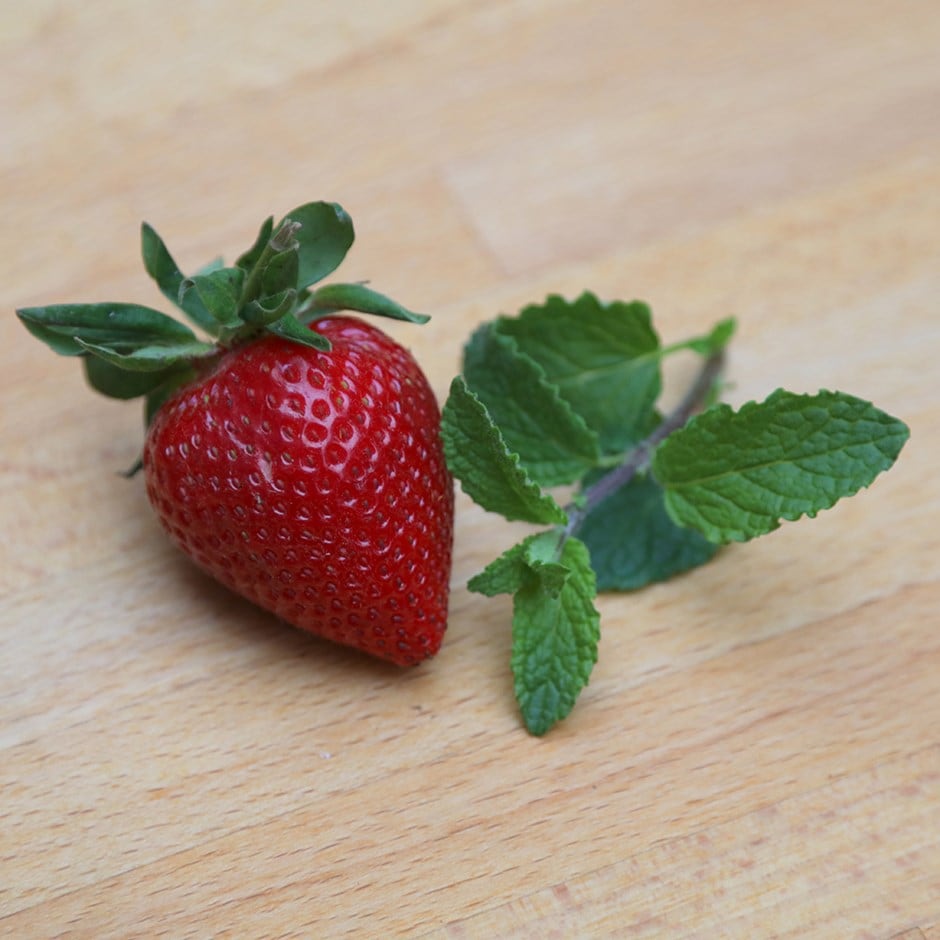 mint - strawberry mint