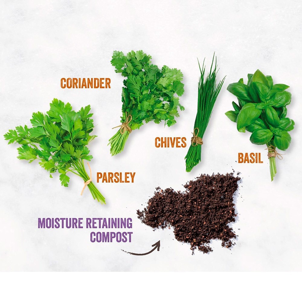 Kitchen herb garden kit