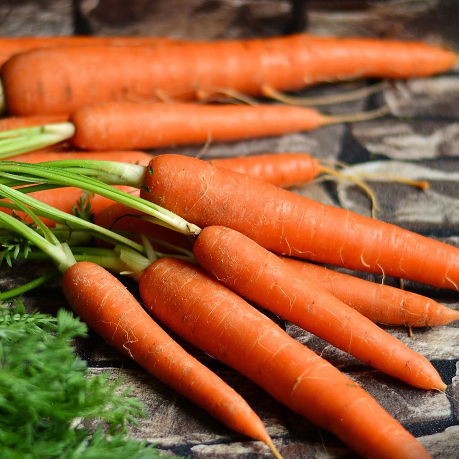 carrot 'Long Red Surrey'