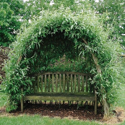 Willow kit for arbour or tunnel