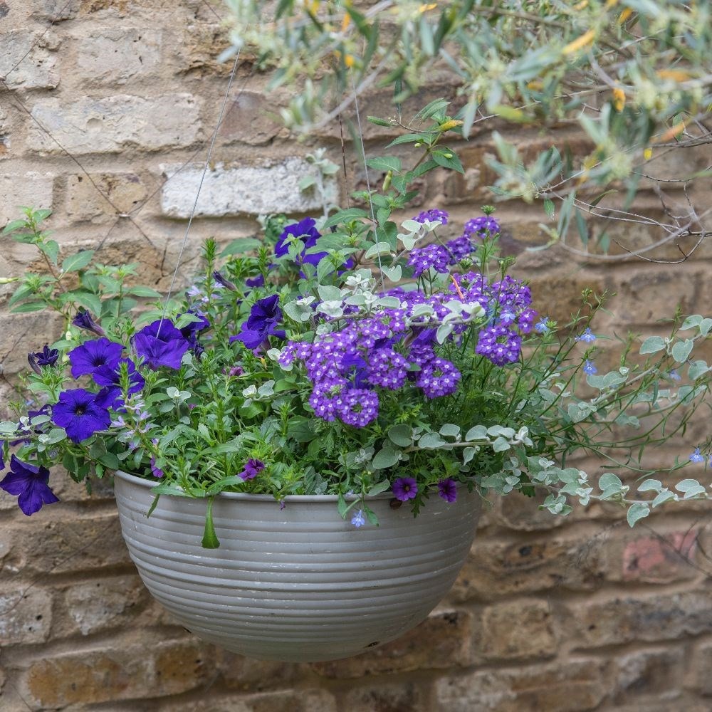 Sea blues - Easyplanter for hanging baskets & patio pots