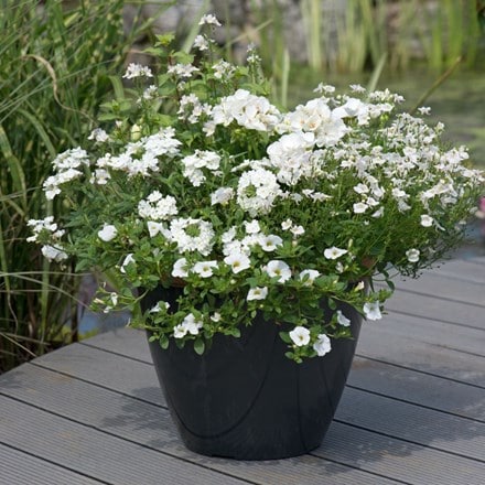 Effortless chic - Easyplanter for hanging baskets & patio pots