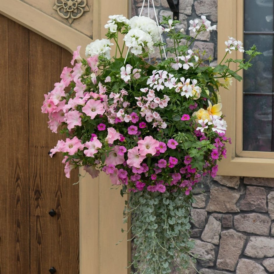 Bridal bouquet - Easyplanter for hanging baskets & patio pots