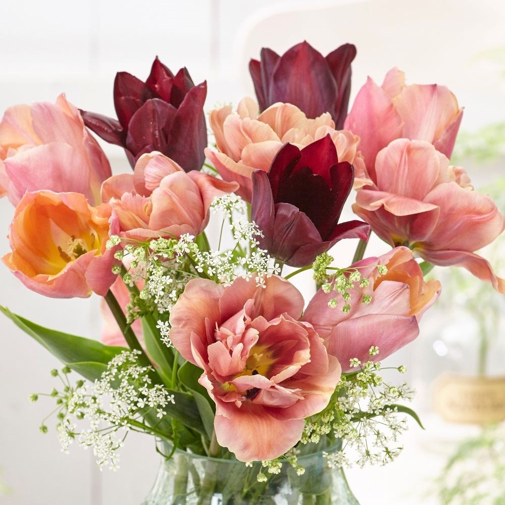 Copper blush tulip collection