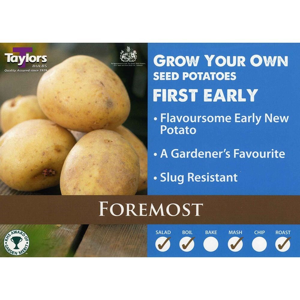 potato 'Foremost'