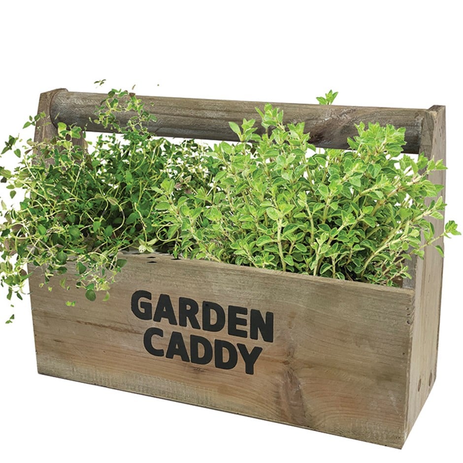 Herb garden caddy gift set 