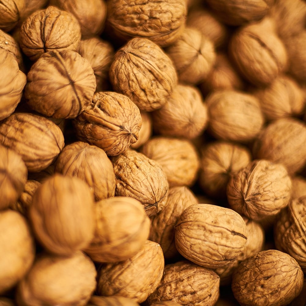 walnut 'Seedling'