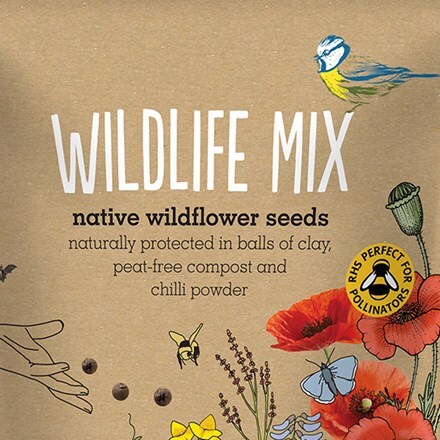 Seedballs native wildflowers for wildlife - seedbombs