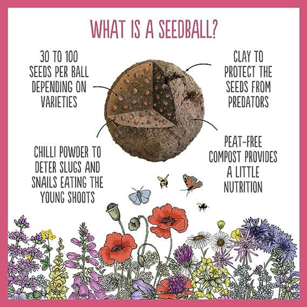 Seedballs native wildflowers for wildlife