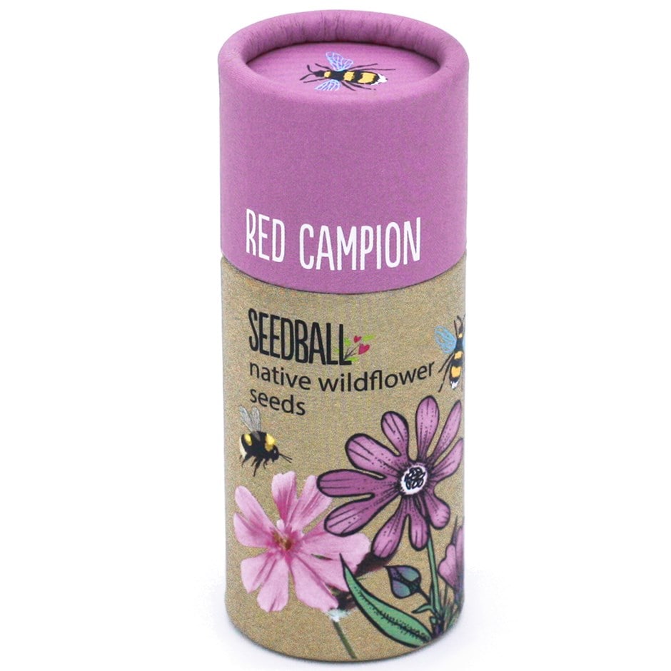 Seedballs red campion
