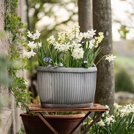 100 days of whites & blues pot collection