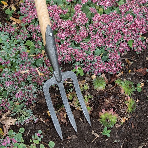 DeWit small fork with long T handle