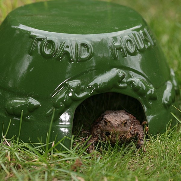 Glazed ceramic toad house