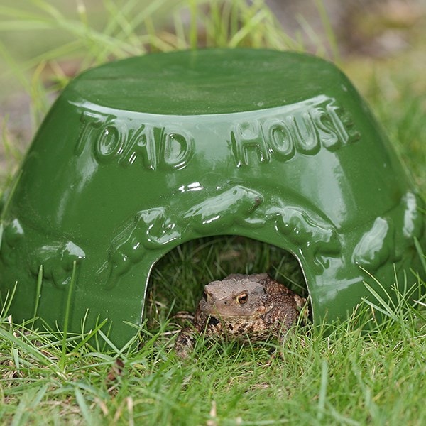 Glazed ceramic toad house