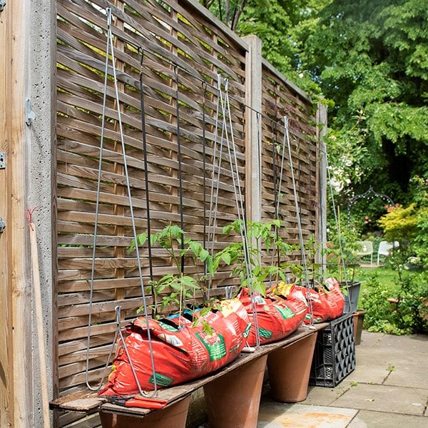 Buy The growbag frame Delivery by Crocus