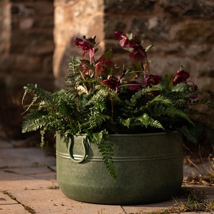 Verdigris plant bowl/drink bucket
