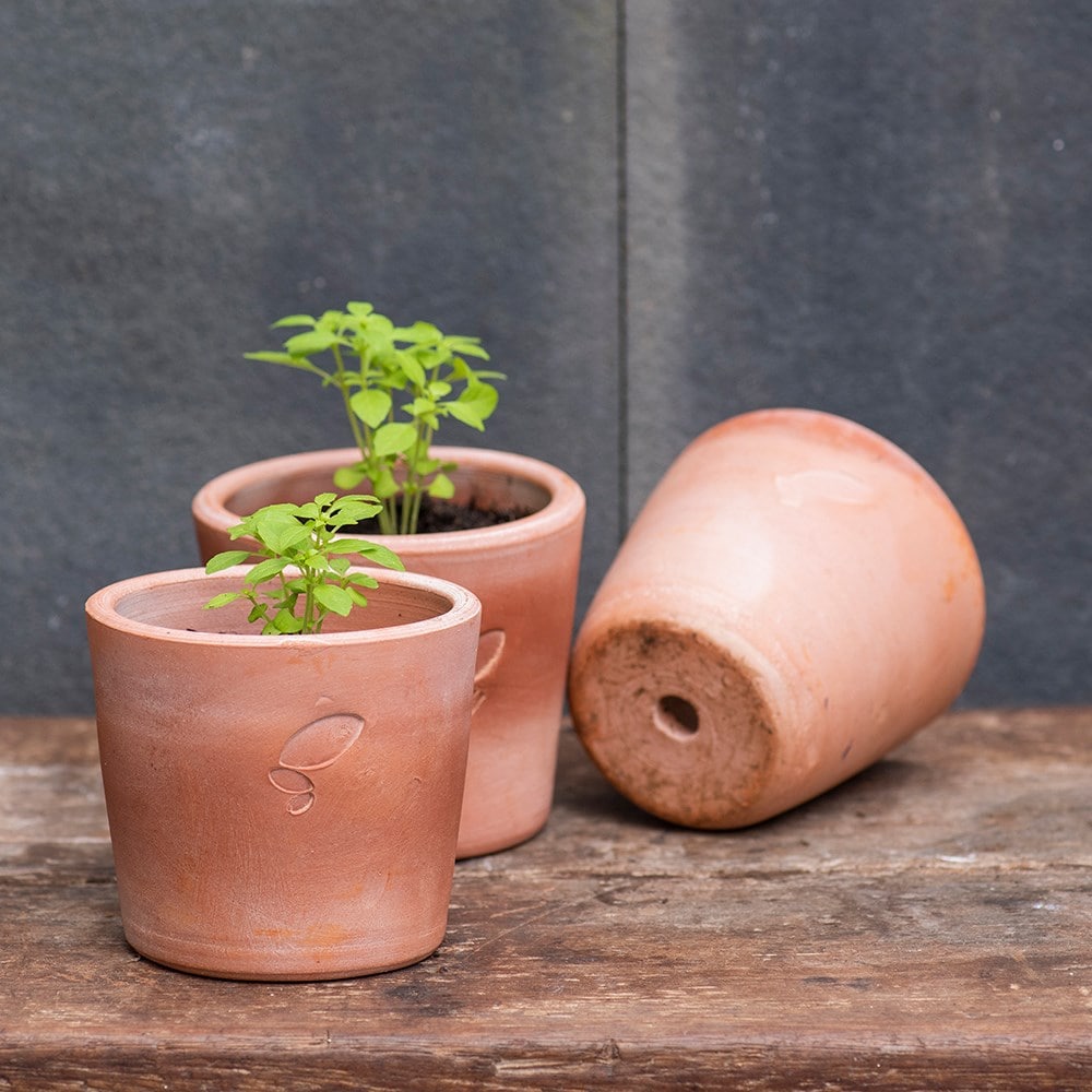 Terracotta seedling pots - set of 3