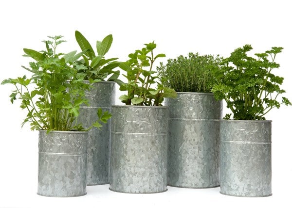 Galvanised metal planters - set of 5