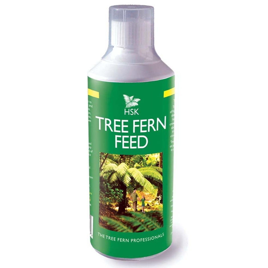 Tree fern feed