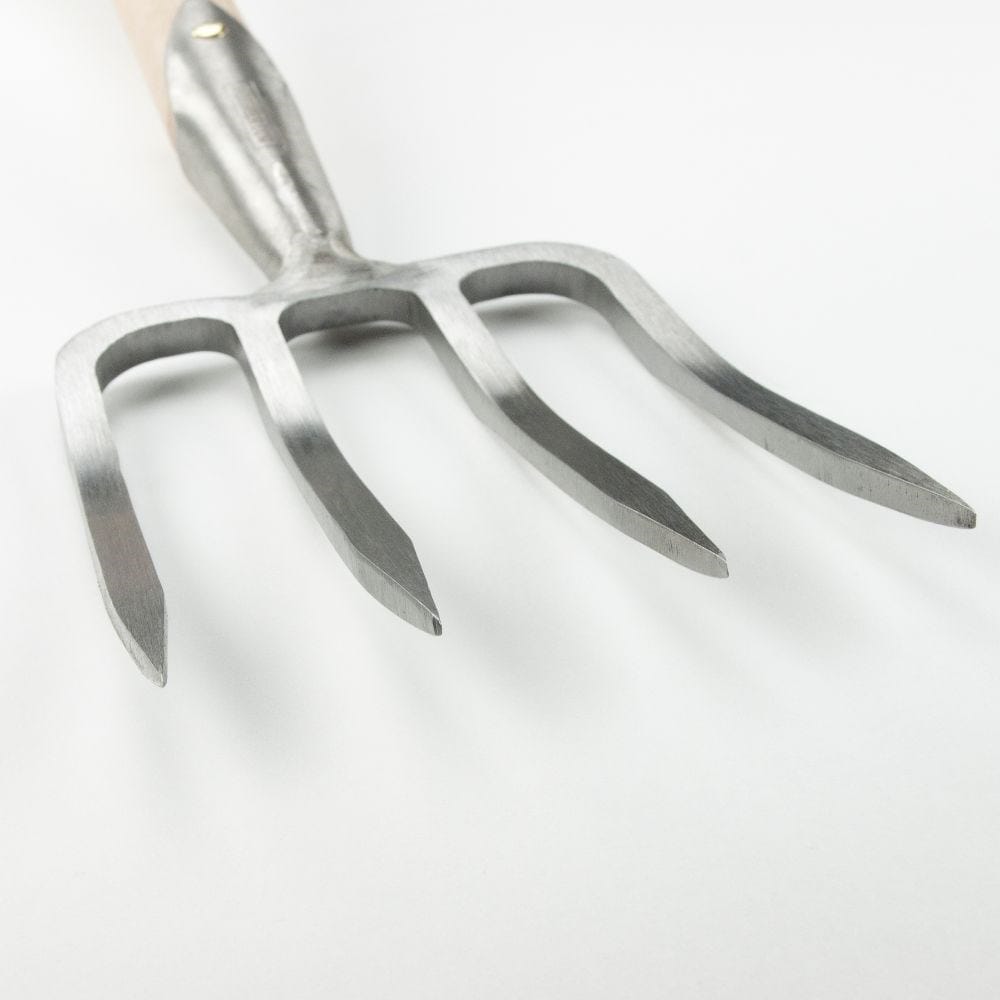 Sneeboer great dixter fork