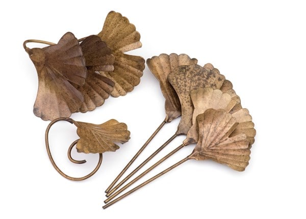 Ginkgo leaf plant markers