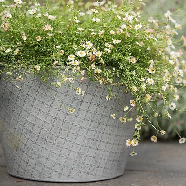 Embossed aged planter