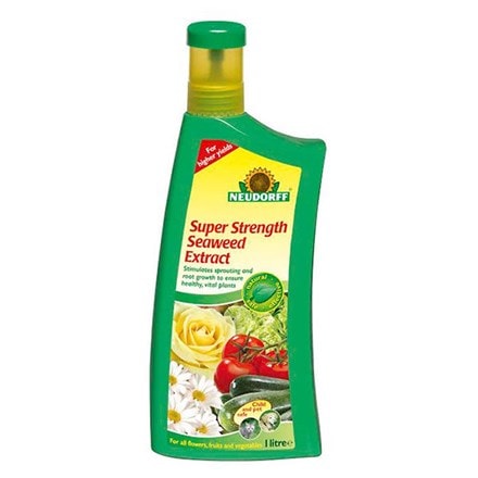 Super strength seaweed liquid