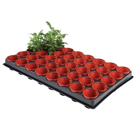 Professional seed and cutting tray with 40 pots