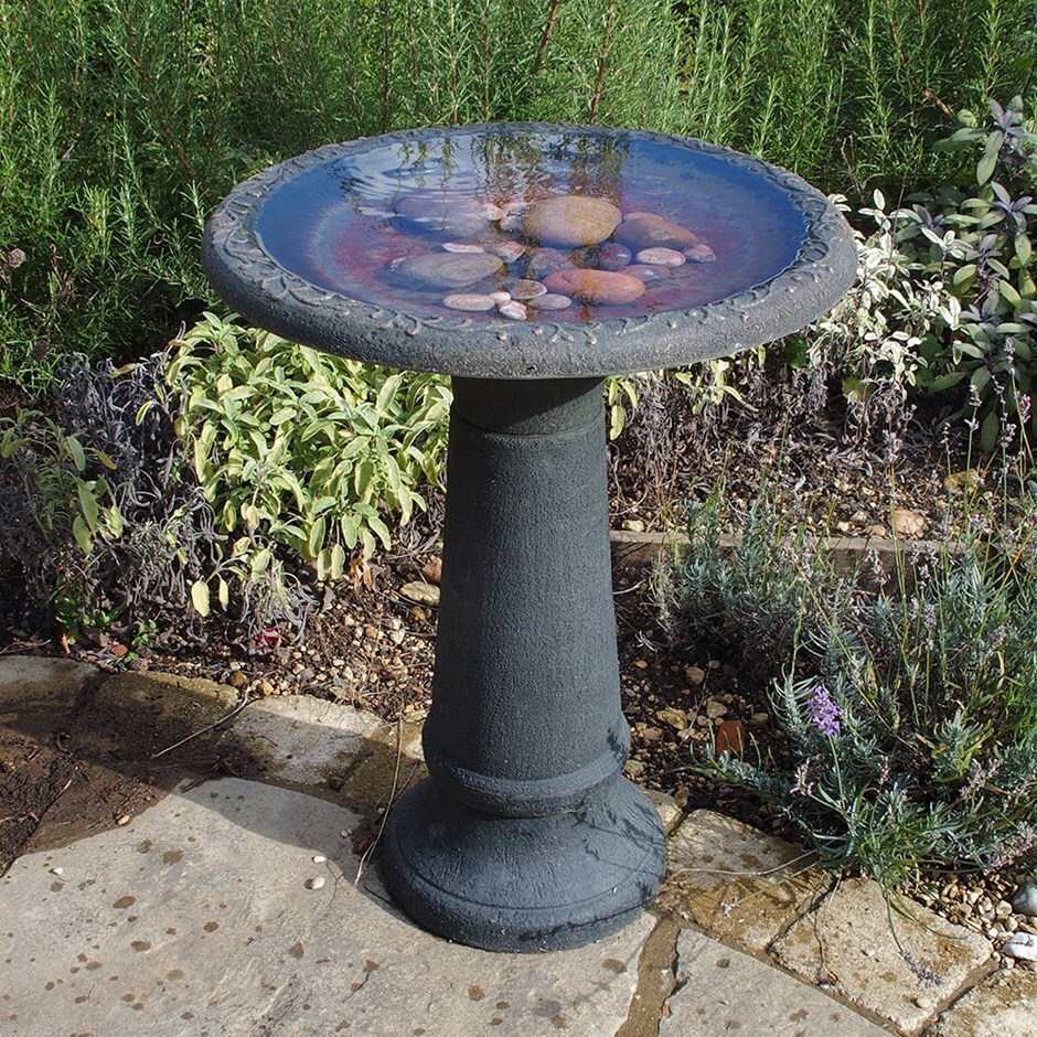 Buy Coniston tall bird bath column Delivery by Waitrose Garden in