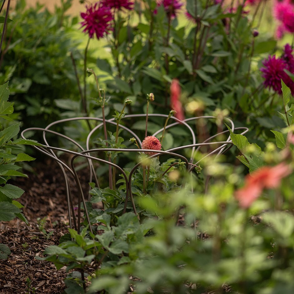 Bulb/peony support - pewter