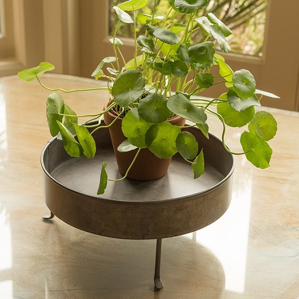 Pot tray with stand