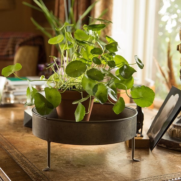 Pot tray with stand