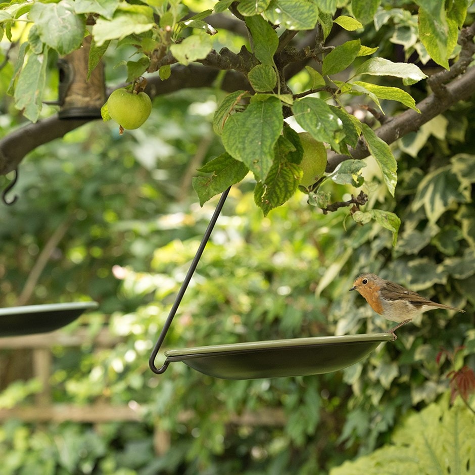 Hanging bird bowl set - Crocus green
