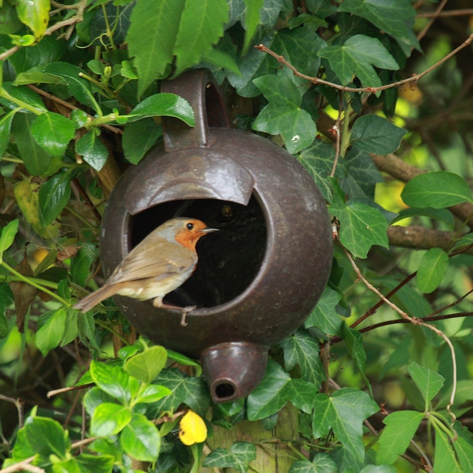 Robin teapot nester