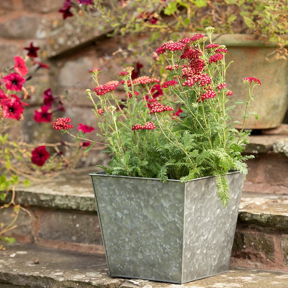 Dark galvanised rectangular planter