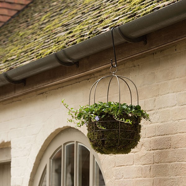 Hanging plant cage - wide